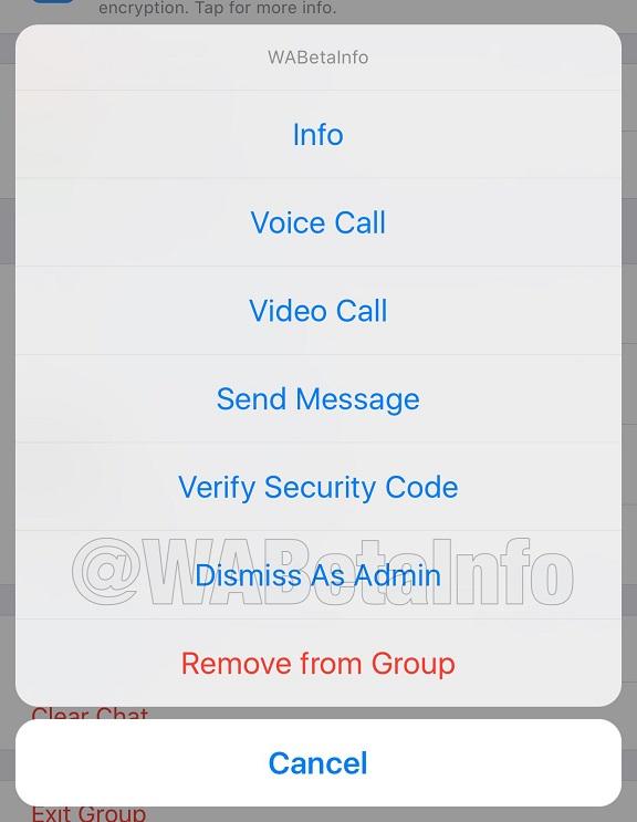 Nueva Función De Whatsapp Notificaciones De Alta Prioridad 8659