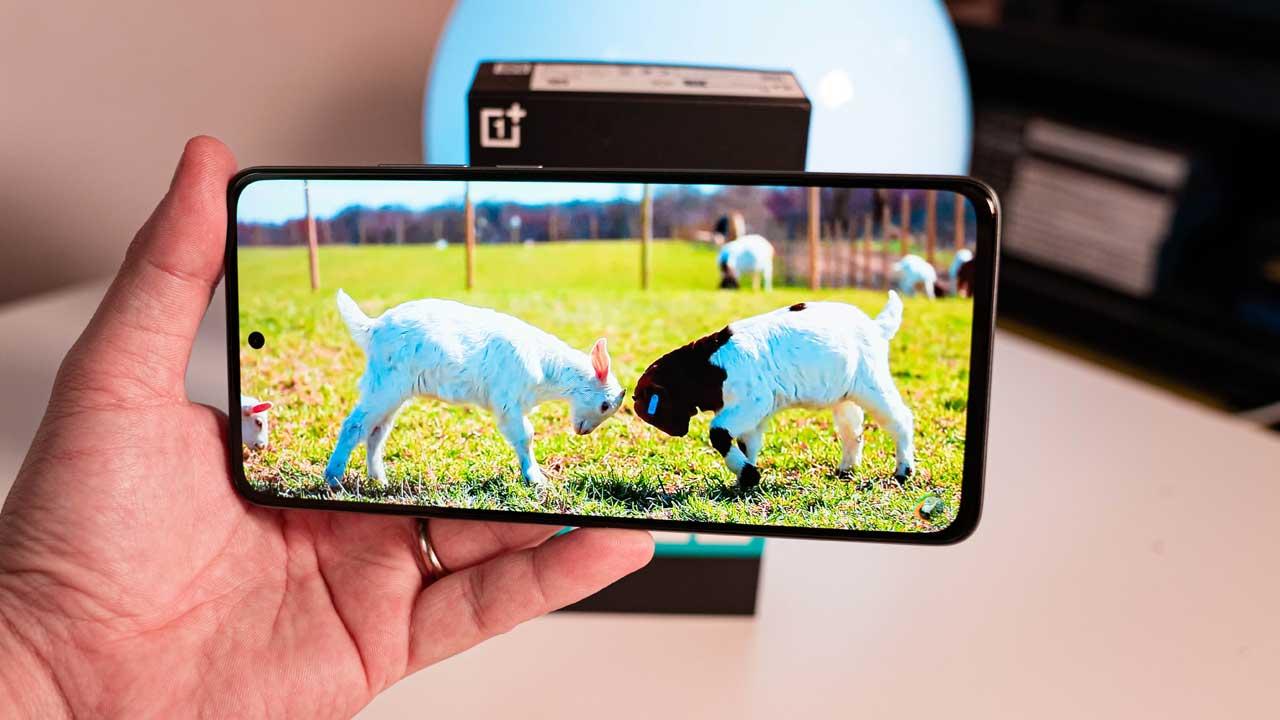 pantalla OnePlus Nord CE4 Lite 5G
