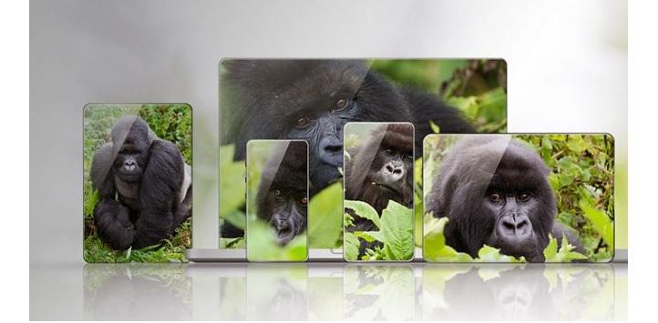 ผลิตภัณฑ์ Gorilla Glass